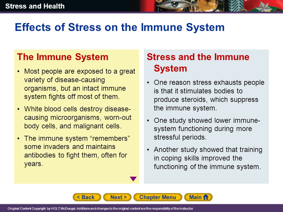 Immune system correction essay